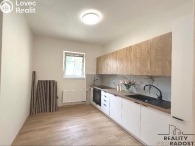 Rent apartment 2+1 Hodonín, Měšťanská č. 2