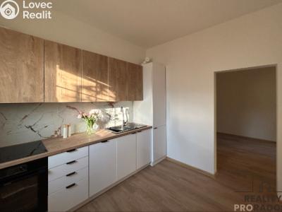 Rent apartment 2+1 Hodonín, Měšťanská č. 3