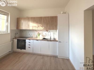 Rent apartment 2+1 Hodonín, Měšťanská č. 4