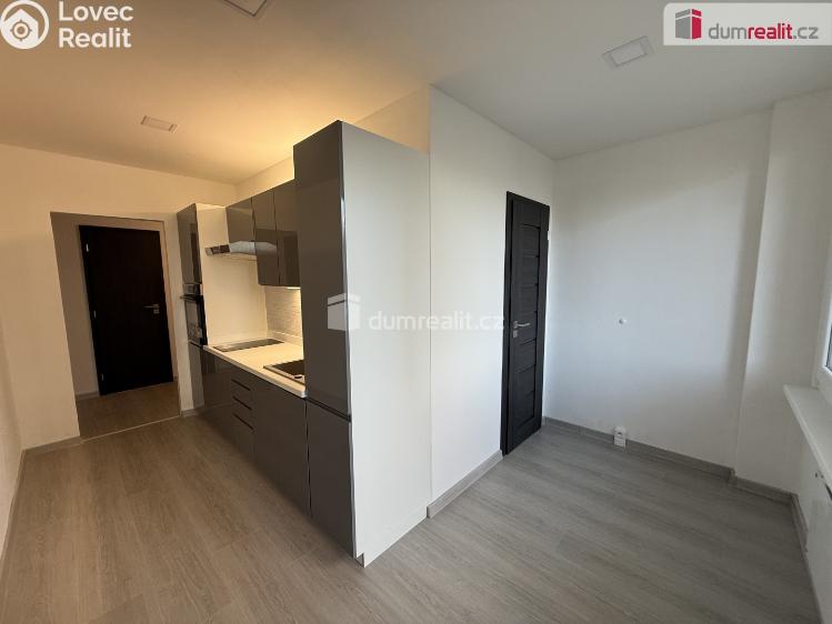 Pronájem bytu 2+1 Krupka, Kollárova č. 7