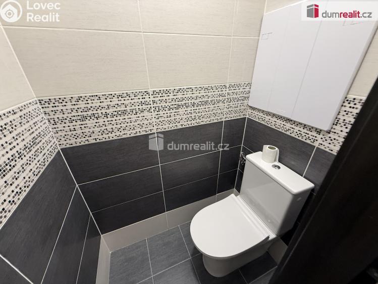 Pronájem bytu 2+1 Krupka, Kollárova č. 11