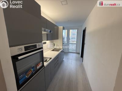 Pronájem bytu 2+1 Krupka, Kollárova č. 1