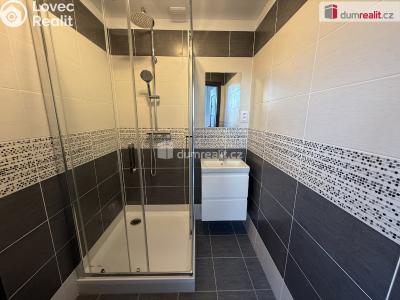 Pronájem bytu 2+1 Krupka, Kollárova č. 4