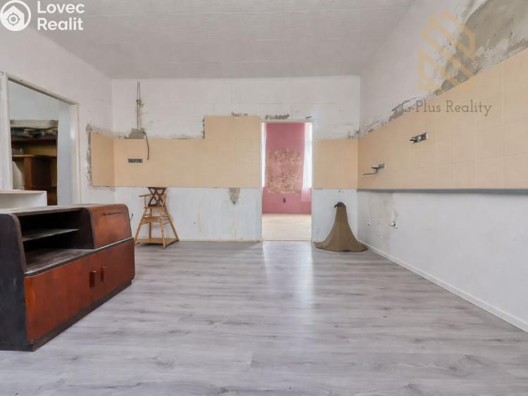 Prodej vícegeneračního domu Kostelec nad Labem, nám. Komenského 293 č. 3