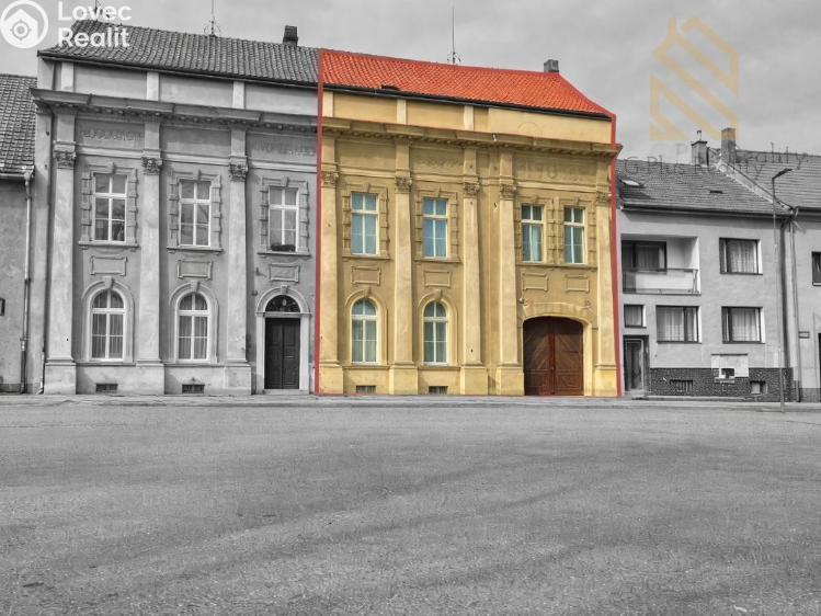 Продажа многогенного дом Kostelec nad Labem, nám. Komenského 293 č. 12