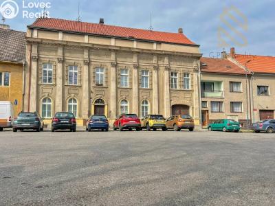 Prodej vícegeneračního domu Kostelec nad Labem, nám. Komenského 293 č. 1