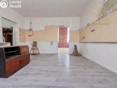 Prodej vícegeneračního domu Kostelec nad Labem, nám. Komenského 293 č. 3