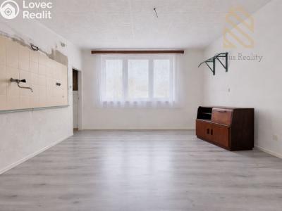 Prodej vícegeneračního domu Kostelec nad Labem, nám. Komenského 293 č. 5