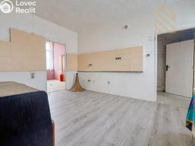 Prodej vícegeneračního domu Kostelec nad Labem, nám. Komenského 293 č. 6