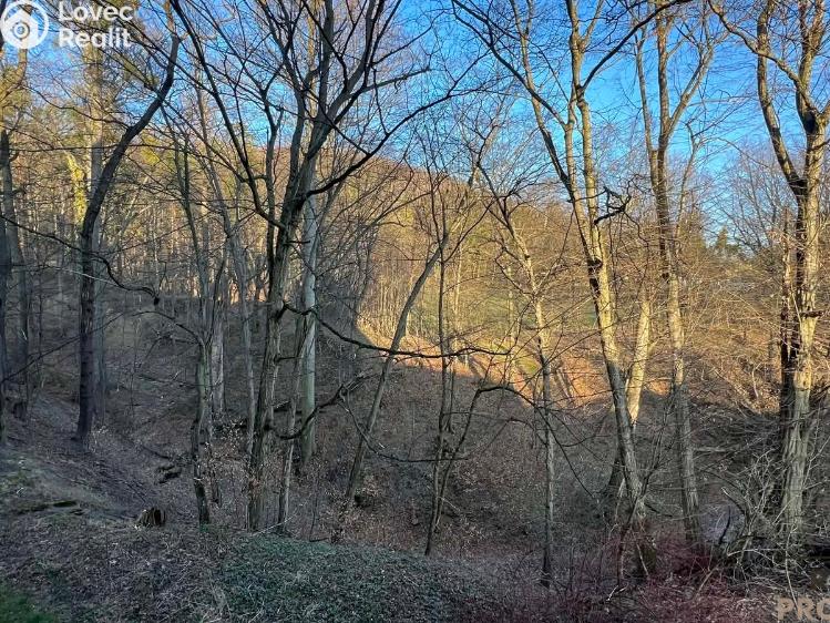 Sale apartment 4+1 Třinec, Sosnová č. 11