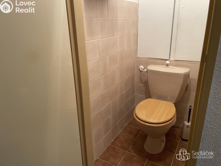 Pronájem bytu 2+1 Sokolov, Boženy Němcové č. 4