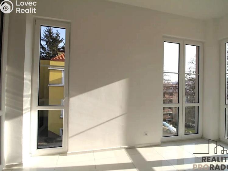 Pronájem bytu 4+KK Praha, Plzeňská č. 6