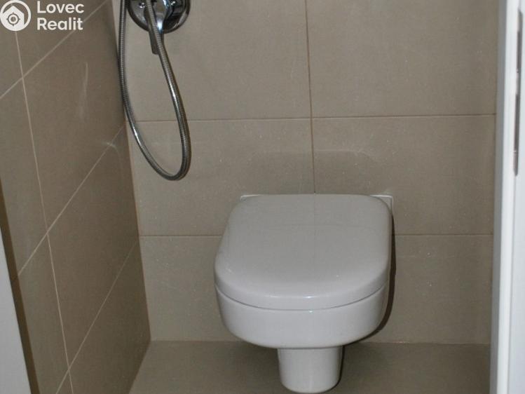 Pronájem bytu 2+1 Praha, Kladenská č. 11