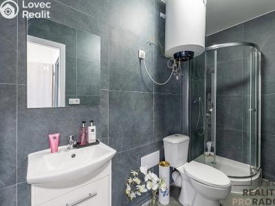 Pronájem bytu 1+KK Praha, Na břevnovské pláni č. 4