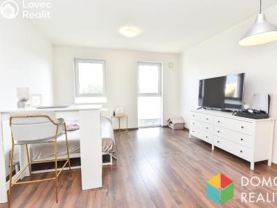 Pronájem bytu 1+KK Beroun, U Archivu č. 3