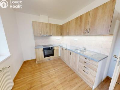 Pronájem bytu 4+KK Příseka č. 1