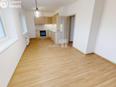 Rent apartment 4+KK Příseka č. 7