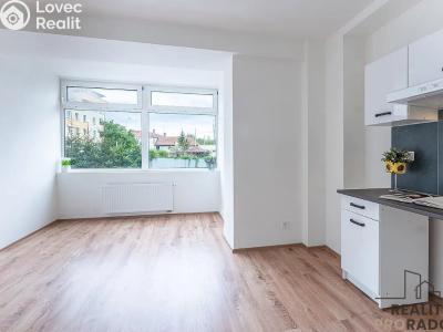 Pronájem bytu 1+1 Praha, Na břevnovské pláni č. 1