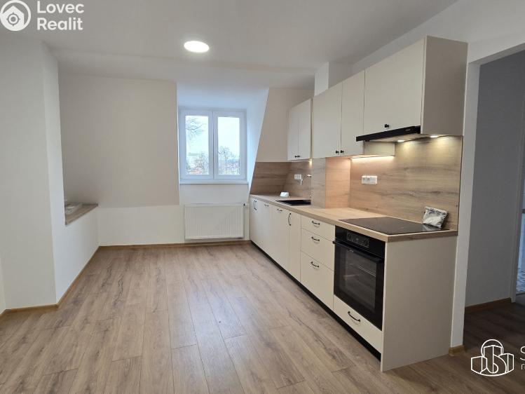 Pronájem bytu 1+1 Sokolov, Josefa Kajetána Tyla č. 1