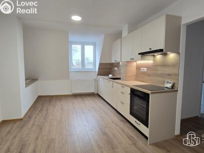 Pronájem bytu 1+1 Sokolov, Josefa Kajetána Tyla č. 1