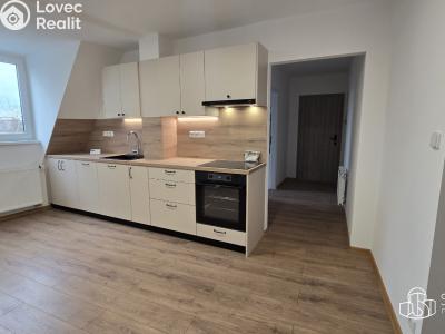 Pronájem bytu 1+1 Sokolov, Josefa Kajetána Tyla č. 2