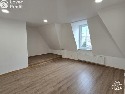 Pronájem bytu 1+1 Sokolov, Josefa Kajetána Tyla č. 6