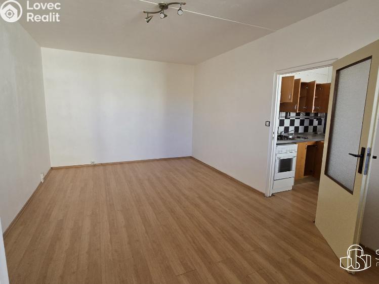 Pronájem bytu 1+1 Sokolov, Švabinského č. 3