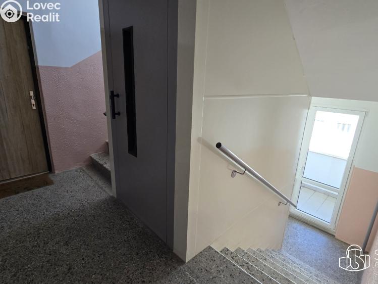 Pronájem bytu 1+1 Sokolov, Švabinského č. 8