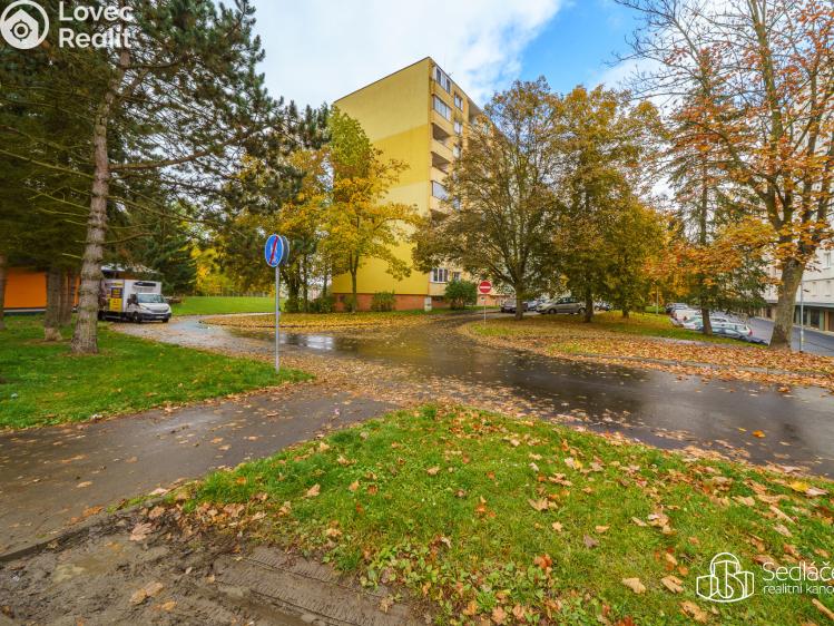 Pronájem bytu 1+1 Sokolov, Švabinského č. 9