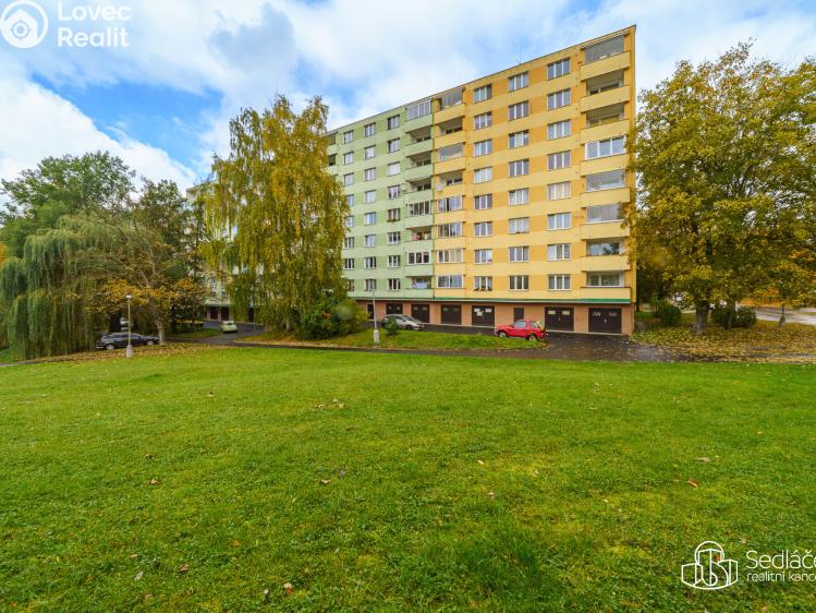 Pronájem bytu 1+1 Sokolov, Švabinského č. 10