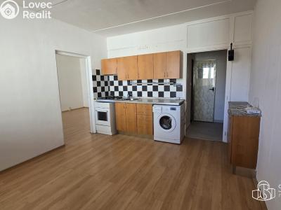 Pronájem bytu 1+1 Sokolov, Švabinského č. 1