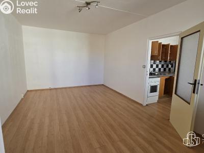 Pronájem bytu 1+1 Sokolov, Švabinského č. 3