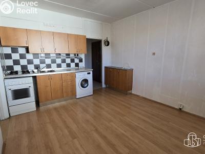 Pronájem bytu 1+1 Sokolov, Švabinského č. 4