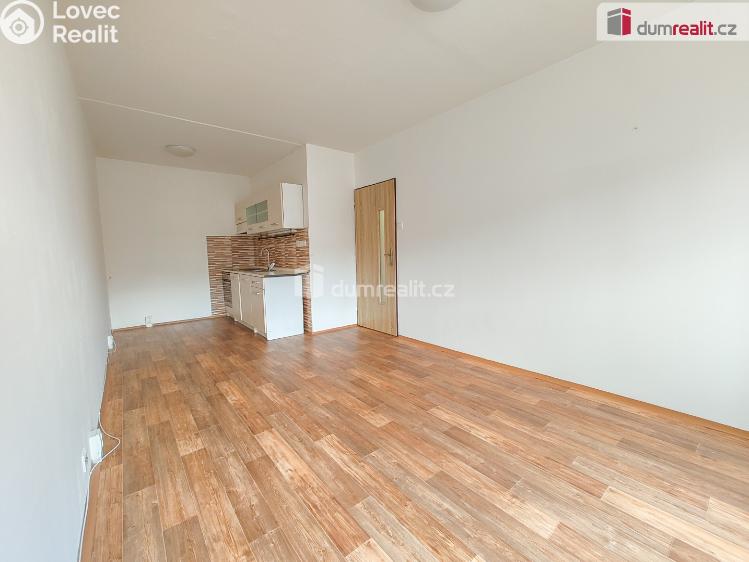Pronájem bytu 2+KK Lovosice, Dlouhá č. 4