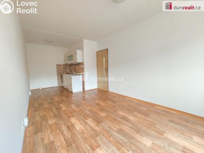 Pronájem bytu 2+KK Lovosice, Dlouhá č. 4