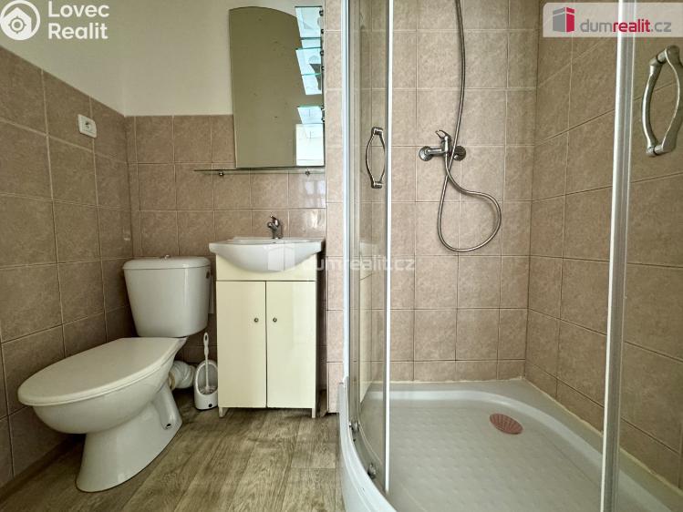 Pronájem bytu 1+1 Chomutov, Nerudova č. 3