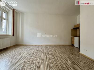 Pronájem bytu 1+1 Chomutov, Nerudova č. 2