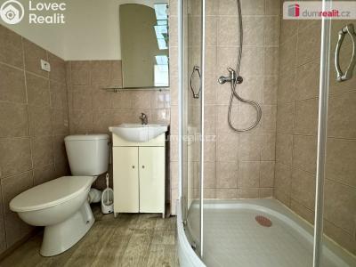 Pronájem bytu 1+1 Chomutov, Nerudova č. 3