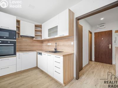 Pronájem bytu 1+1 Chrudim, Topolská 753 č. 6