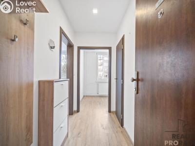 Оренда квартири 1+1 Chrudim, Topolská 753 č. 4