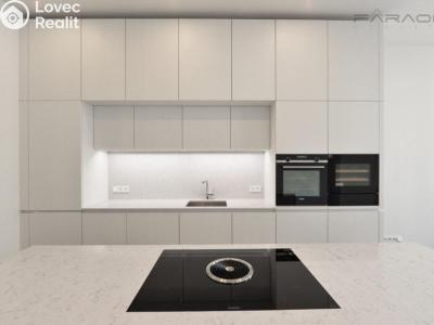 Pronájem bytu 4+KK Praha, Laubova č. 1