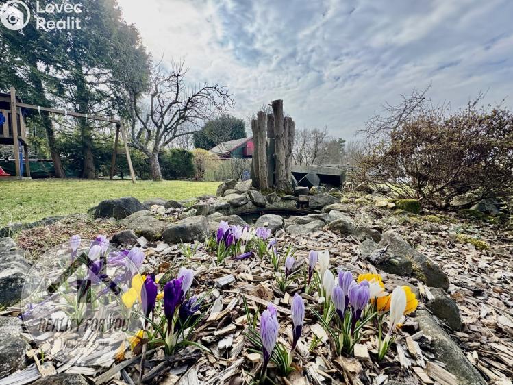 Prodej chaty Nový Bor, U Vodárny č. 2