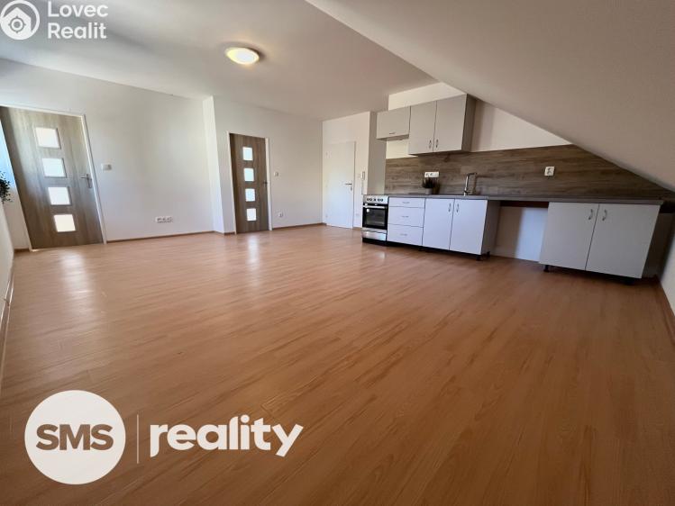 Pronájem bytu 3+KK Vítkov, Vodní č. 1