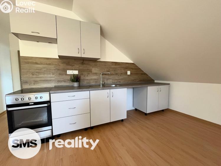 Pronájem bytu 3+KK Vítkov, Vodní č. 2