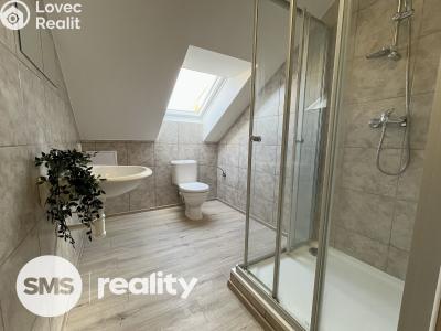 Pronájem bytu 3+KK Vítkov, Vodní č. 3