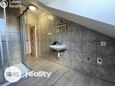 Pronájem bytu 3+KK Vítkov, Vodní č. 4