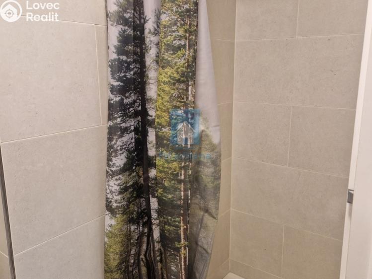 Pronájem bytu 1+KK Praha, Vrážská č. 9