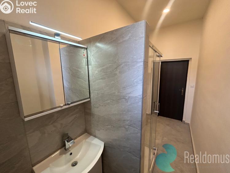 Аренда квартиры 2+1 České Budějovice, Mánesova 266/5 č. 5