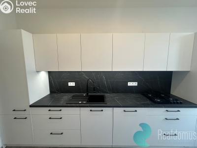 Аренда квартиры 2+1 České Budějovice, Mánesova č. 3