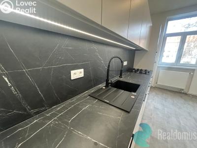 Rent apartment 2+1 České Budějovice, Mánesova č. 1